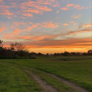 Meet your Posher, Matty